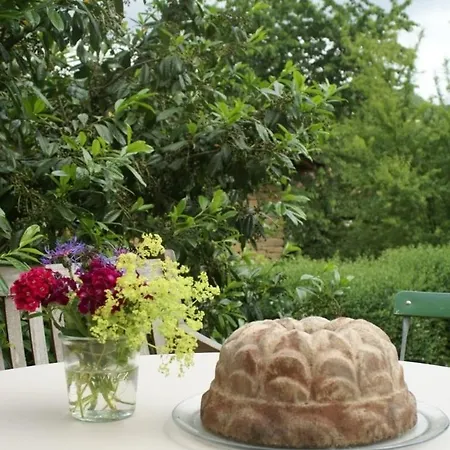 Atelierhaus 別荘 *